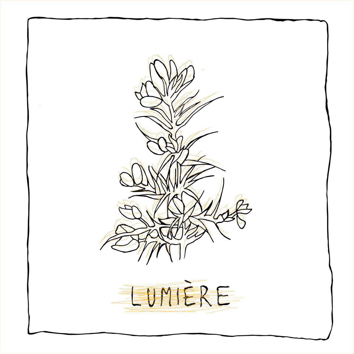 GIF - Lumiere